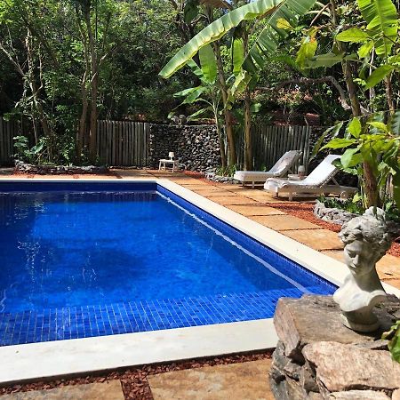 Terra Dos Goitis - Chales - Pipa Praia de Pipa Ngoại thất bức ảnh
